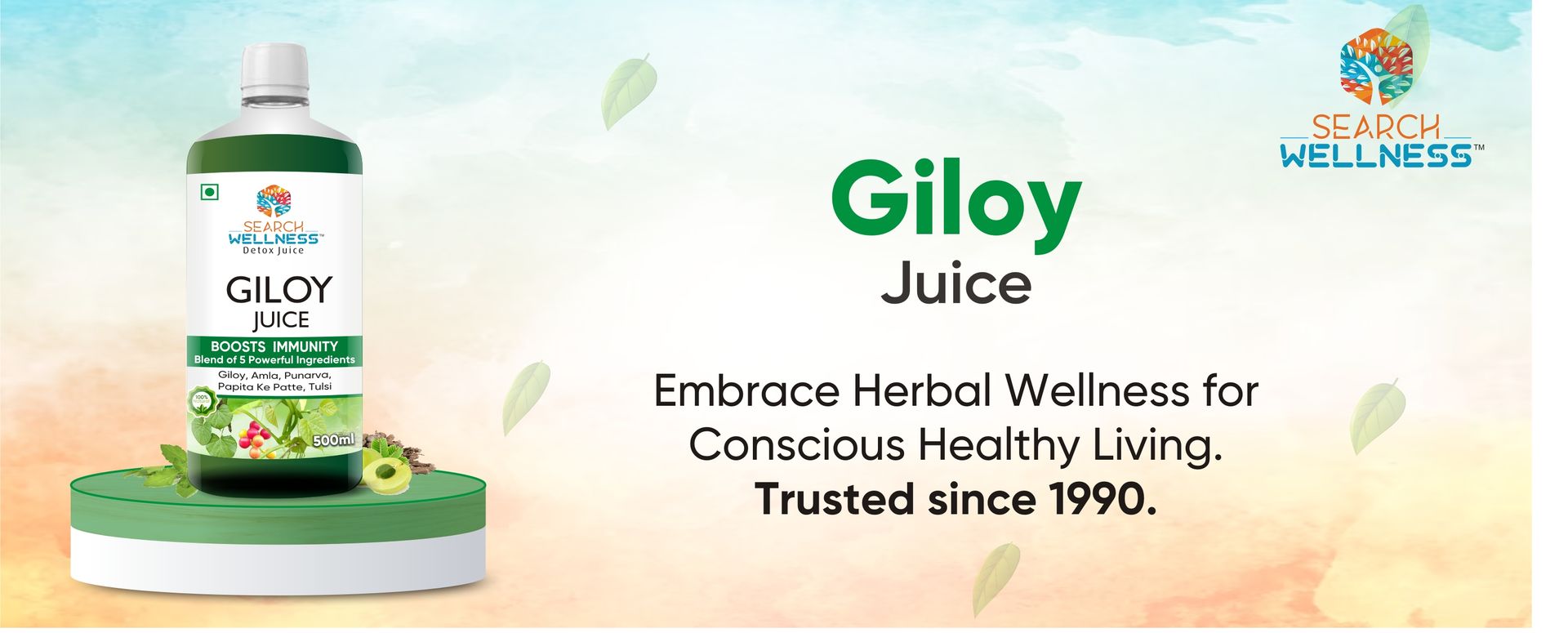 Giloy/Guduchi Ayurvedic Juice 500 ml (Pack of 3) | Natural & Healthy for Blood Purification,Strength & Immunity Booster | Body Detox for Women & Men | Blend of Giloy, Amla & more