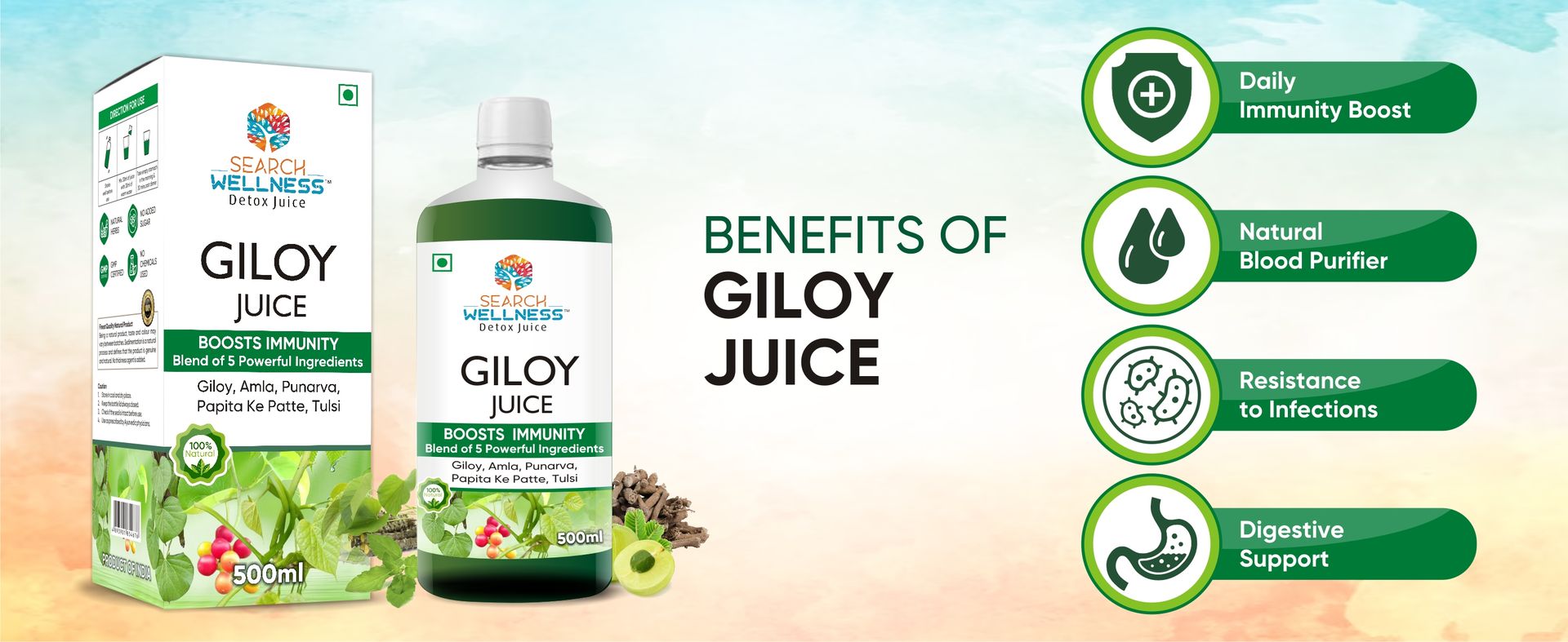 Giloy/Guduchi Ayurvedic Juice 500 ml (Pack of 3) | Natural & Healthy for Blood Purification,Strength & Immunity Booster | Body Detox for Women & Men | Blend of Giloy, Amla & more