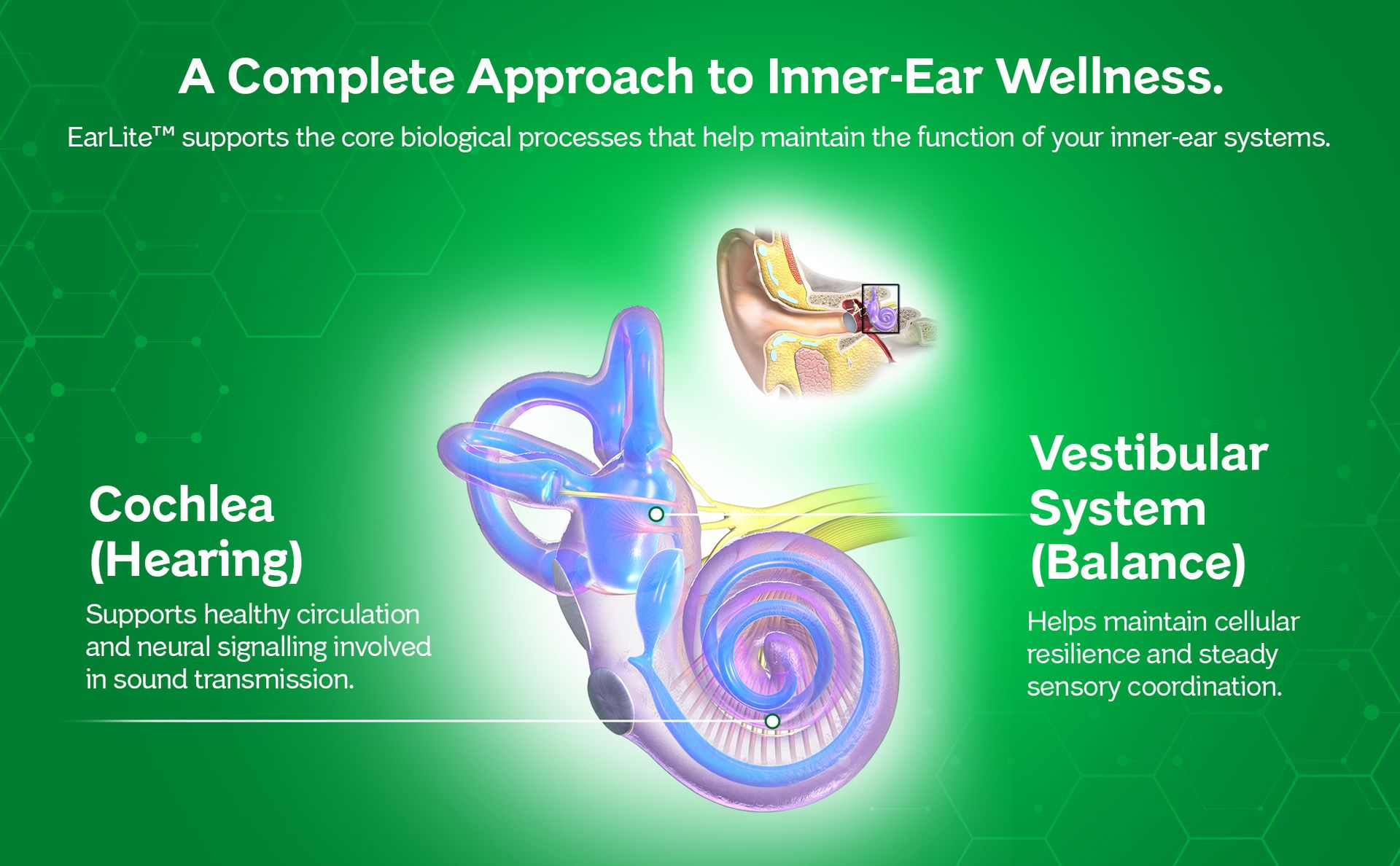 EarLite Capsules | Advanced Inner Ear Health & Balance Support with Ginkgo Biloba, Magnesium, DHA (from Algae), Alpha Lipoic Acid & B-Vitamins | 90 Capsules