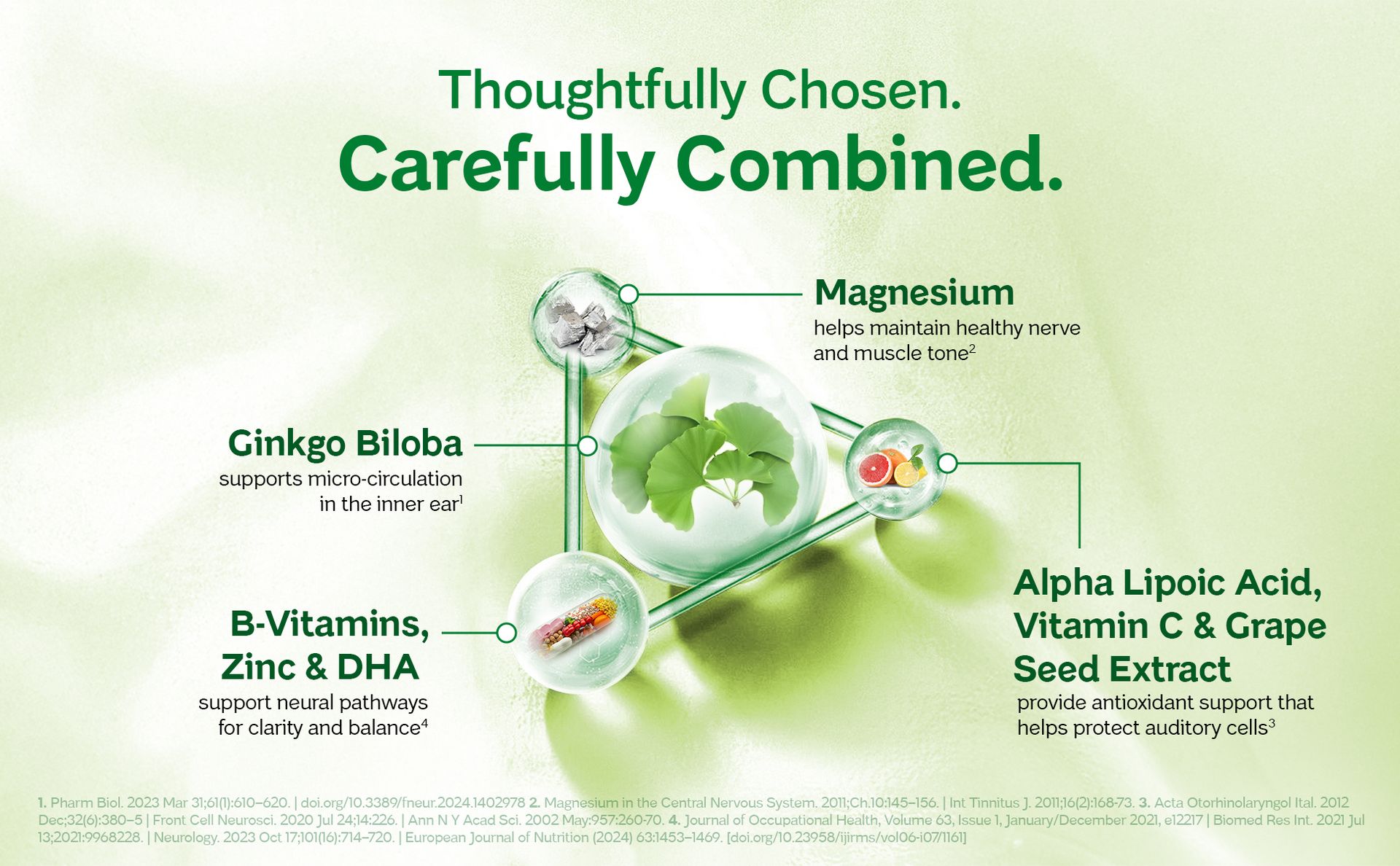 EarLite Capsules | Advanced Inner Ear Health & Balance Support with Ginkgo Biloba, Magnesium, DHA (from Algae), Alpha Lipoic Acid & B-Vitamins | 90 Capsules