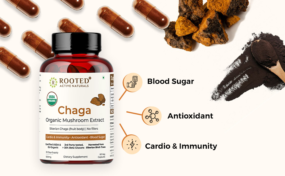 Rooted Active's Organic Chaga Capsules - Immune System Support Supplement, Antioxidant Activity Support, Regulate Body Functions, Immune Support vegan Extract, Dietary Mushroom Supplement (60 Caps)