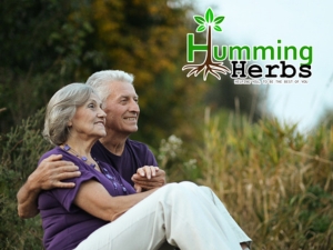 Humming Herbs Berberine Supplement | 8in1 | 90 Caps | with Ceylon Cinnamon Milk Thistle Bitter Melon & Probiotics - For Optimal Health