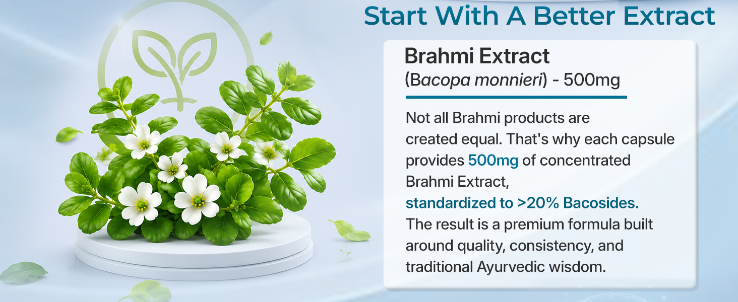 INLIFE Brahmi Extract 500mg Capsules, Bacopa Monnieri 20%, 60 Veg Caps