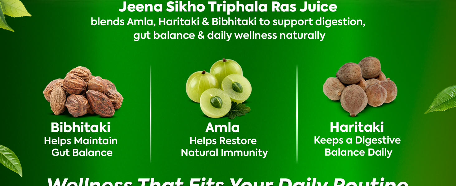 Jeena Sikho Triphala Ras Juice | Ayurvedic Digestive Tonic & Natural Detox juice | Triphala juice for Immunity, Constipation & Acidity, 500 ml, Pack of 2
