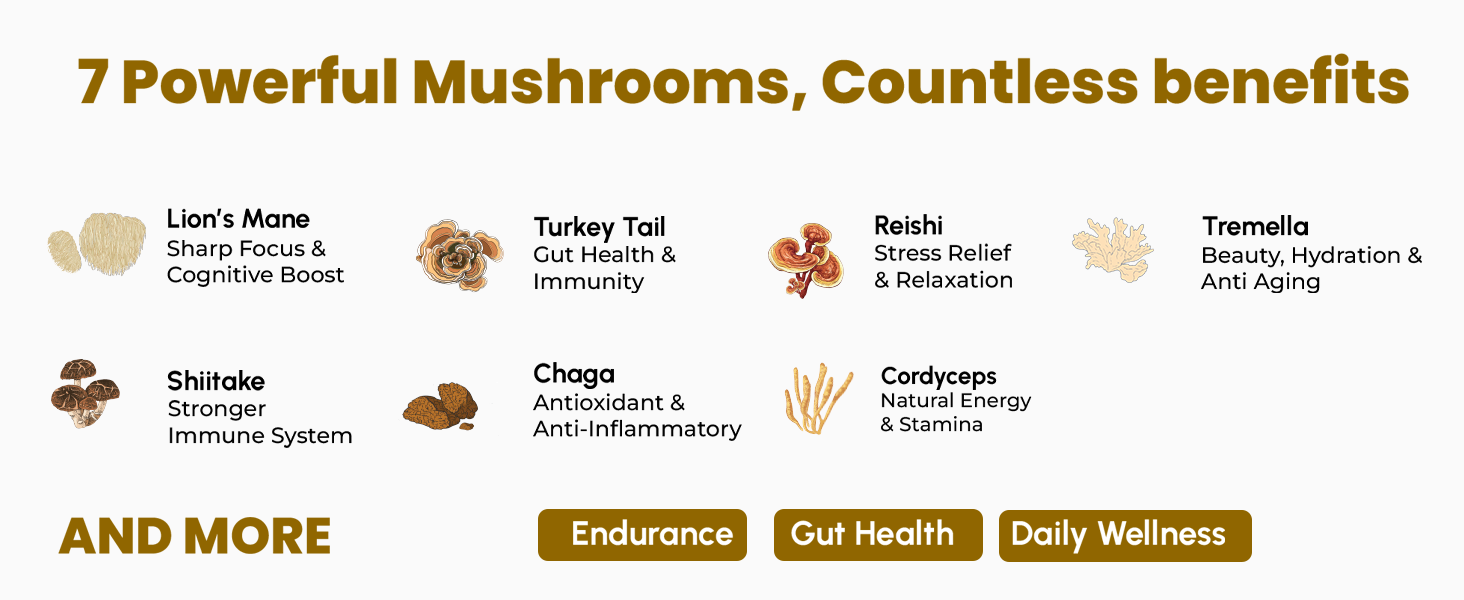 Rooted Actives 7-in-1 Mushroom Complex Extract | 100% Fruiting Body | 32%+ Beta Glucans | Focus, Energy, Gut & Immune Support | 60 Veg Capsules
