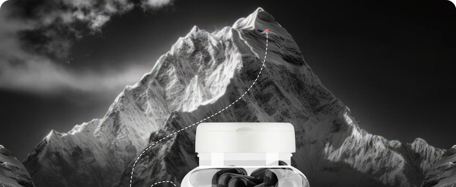Shudh Kaama Shilajit Plus - AYUSH certified Original Himalayan Shilajit/Shilajeet with Ashwagandha, Gokshura, Safed Musli for Strength & Muscle Gain - 60 Capsules