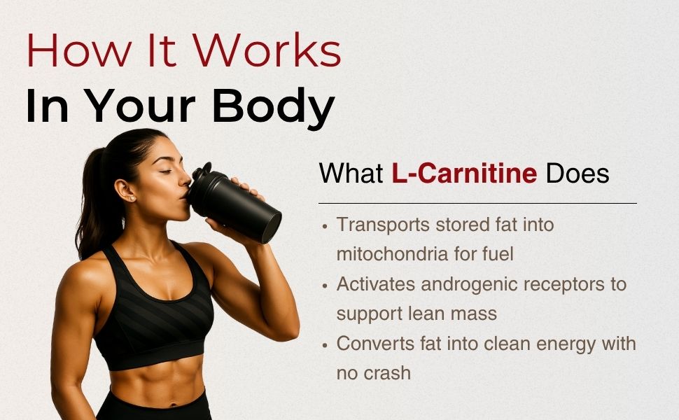 Labrada L-Carnitine 450ml | 3000mg Liquid Amino Acid with 0g Sugar - 30 Servings (450ml) (450 ml, Litchi)