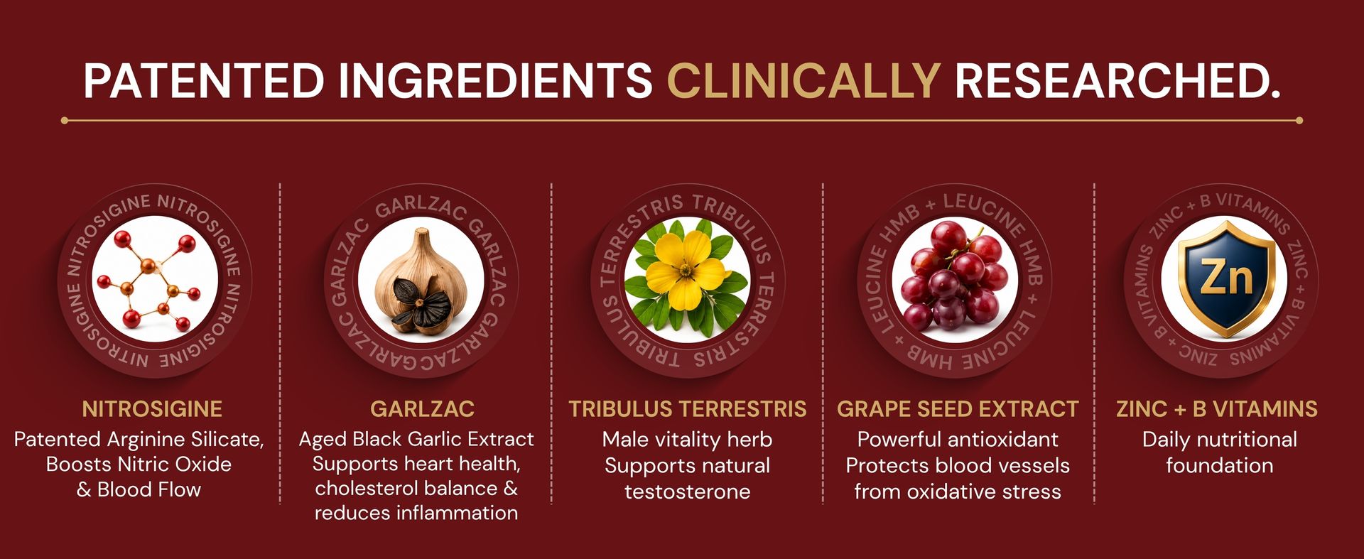 Enlarge™ in you | Patented Blood Flow & Heart Health Nutrition | Nitrosigine® (5X More Efficient Than L-Arginine) + Garlzac® + Tribulus + Grape Seed + Fenugreek + Zinc + B12 | Men's Strengh & Vitality