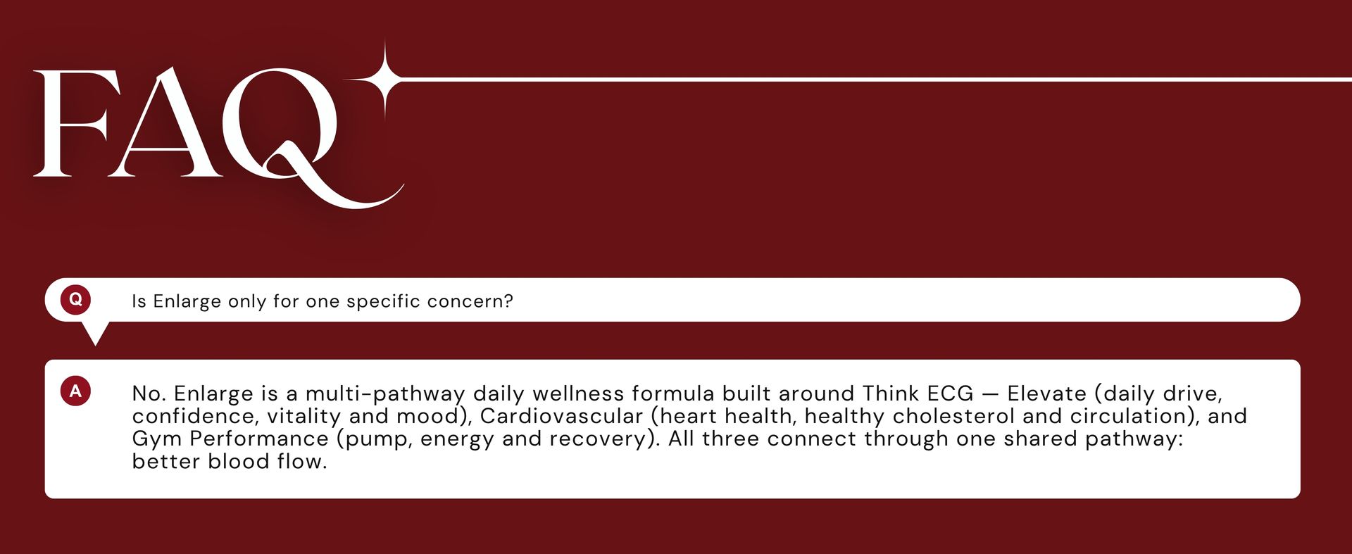 Enlarge™ in you | Patented Blood Flow & Heart Health Nutrition | Nitrosigine® (5X More Efficient Than L-Arginine) + Garlzac® + Tribulus + Grape Seed + Fenugreek + Zinc + B12 | Men's Strengh & Vitality
