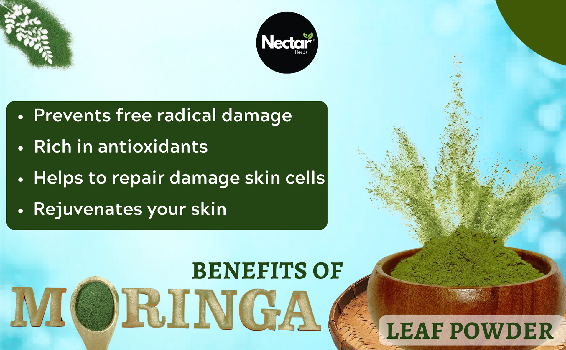 Moringa Powder Organic | Pure Herbal Superfood | Rich in Vitamins, Iron & Antioxidants