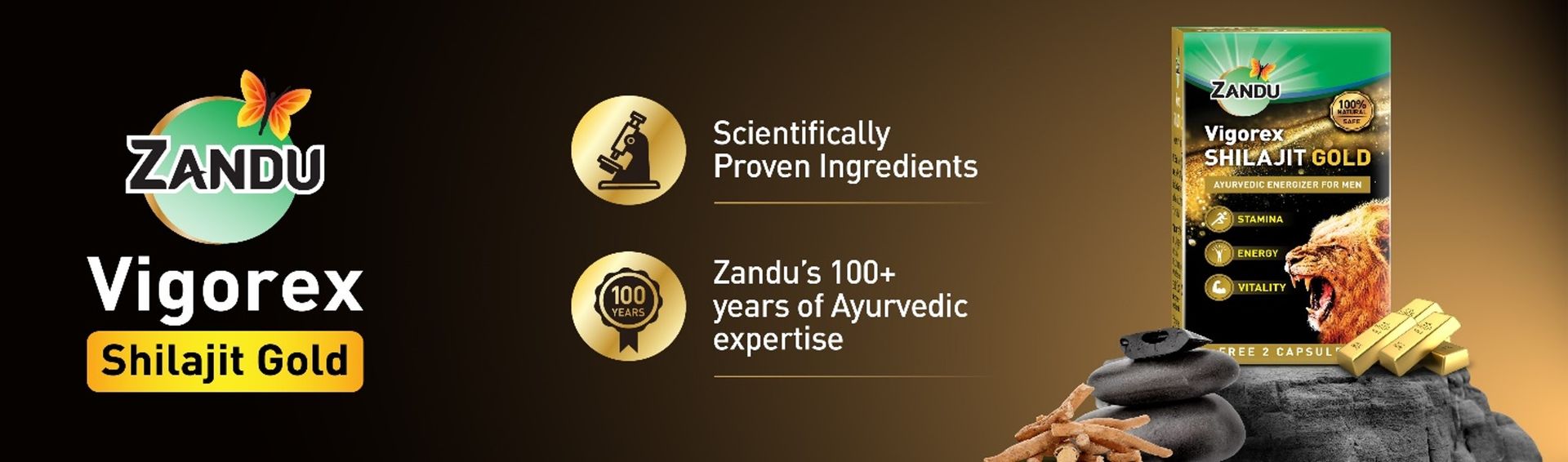 Zandu Vigorex Shilajit Gold - 12 Capsules