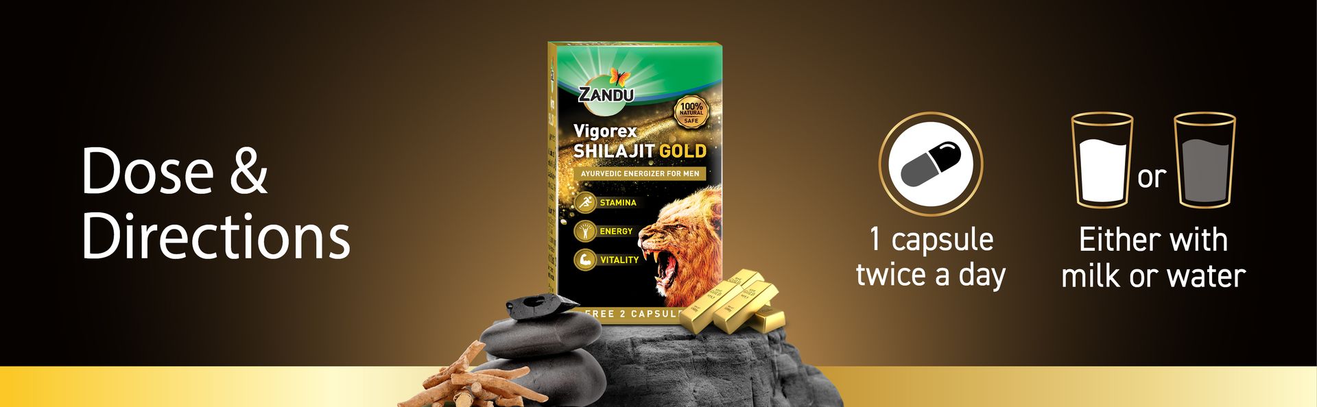 Zandu Vigorex Shilajit Gold - 12 Capsules