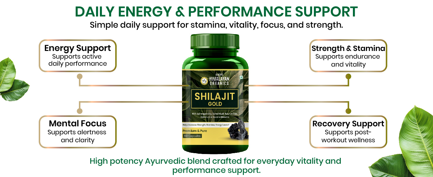 Vlado's Himalayan Organics 100% Pure shilajit with 24 Carat Gold Bhasam - 1100 MG/ Serving Capsules with Ashwagandha, Safed musli, Kaunch beej , Gokshura , Rajat & Swarnat Bhasma +12 more Higy potency Ayurvedic herbs I Extract,75% Fulvic Acid,85+ Trace Minerals | 10x More Powerful Shilajit/shilajeet I Boosts strength, Stamina, Power and Performance , Faster Muscle Recovery ,Restores Vigor and Vitality , Supports Healthy Testosterone Levels , For All Day Energy & Stamina - 60 Natural Capsules