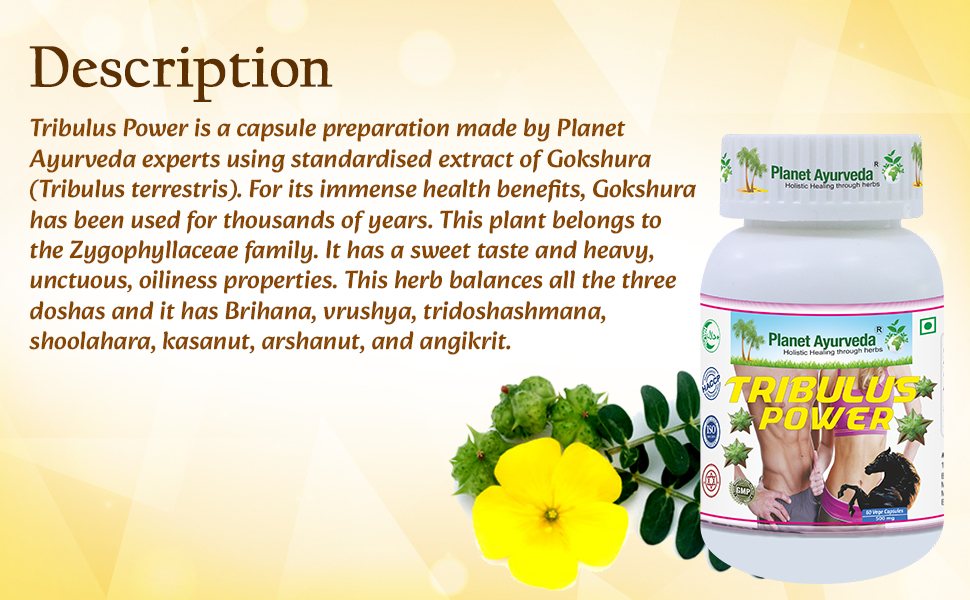 Planet Ayurveda Tribulus Power- Herbal Supplement, 60 Capsules - Gokshur Extract (Tribulus terrestris), 500 mg, Vegetarian