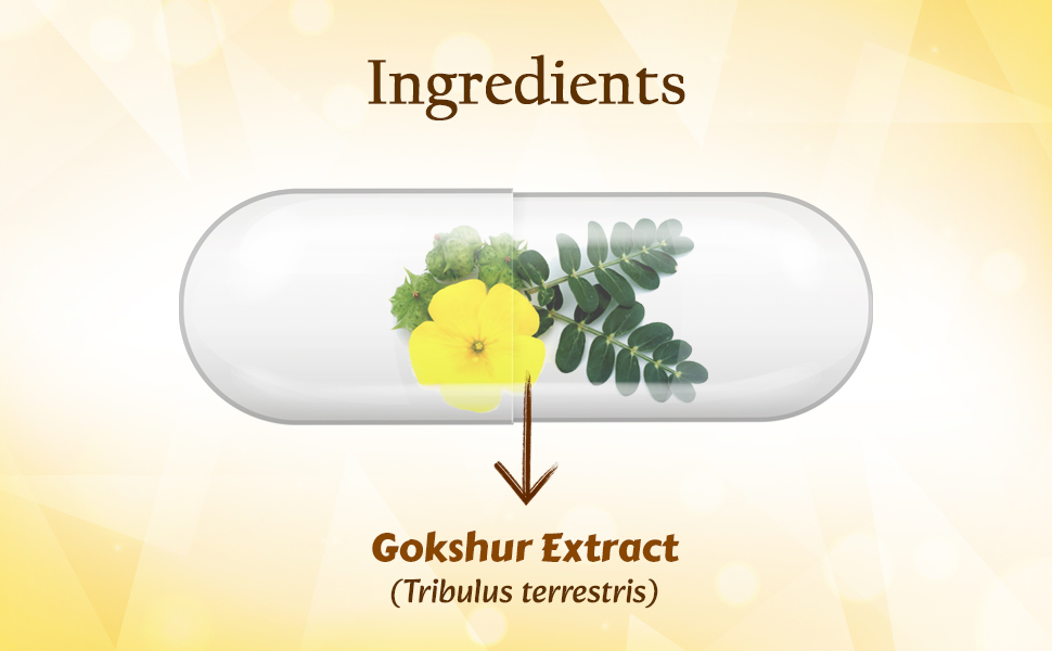 Planet Ayurveda Tribulus Power- Herbal Supplement, 60 Capsules - Gokshur Extract (Tribulus terrestris), 500 mg, Vegetarian