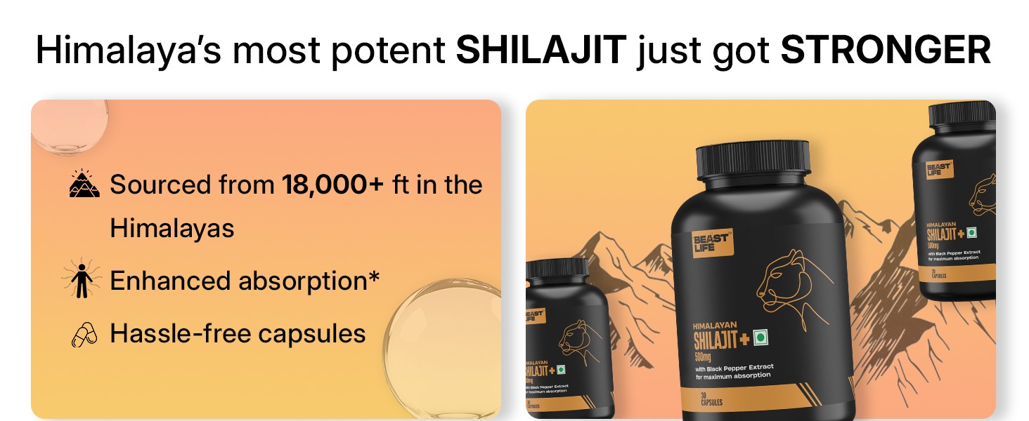 BeastLife Himalayan Shilajit | Pure & Potent Shilajit Supplement | Improve Muscle Strength, Enhances Stamina, Energy & Power | Supports Faster Recovery | Natural & Organic Shilajeet (30 Capsules)
