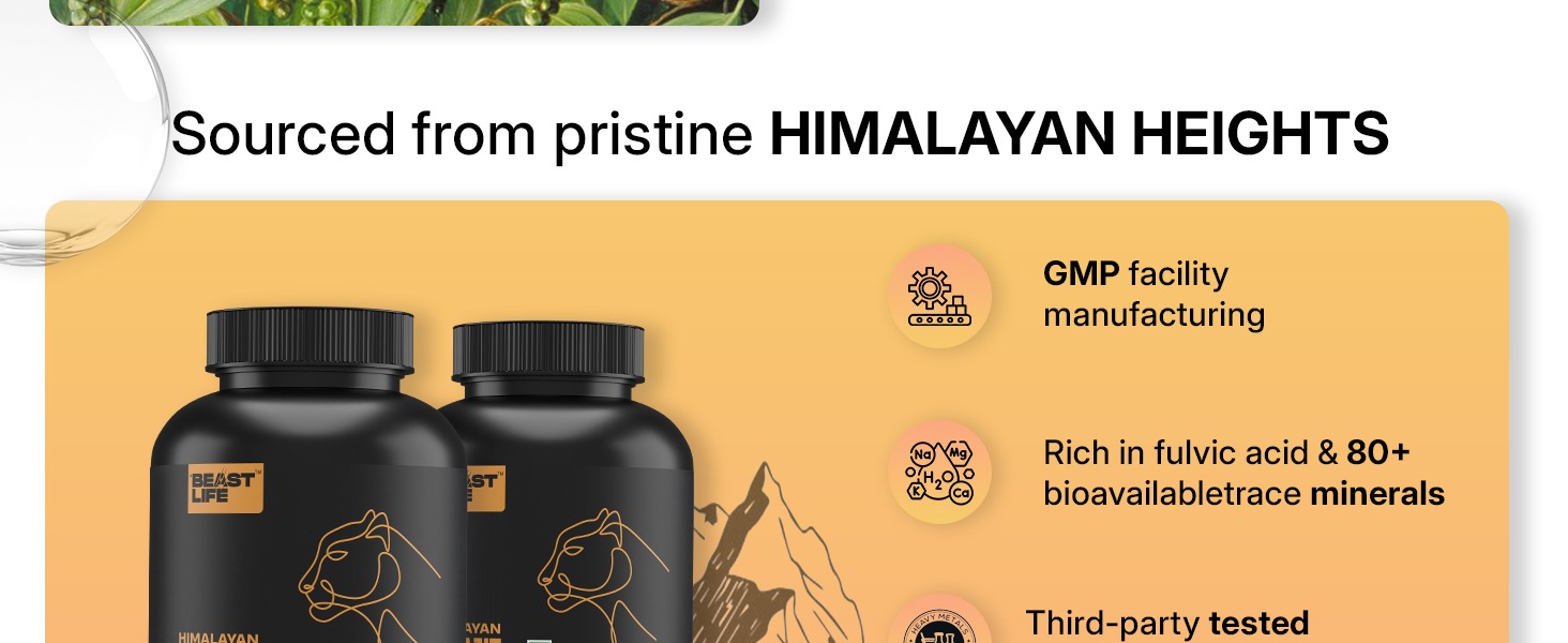 BeastLife Himalayan Shilajit | Pure & Potent Shilajit Supplement | Improve Muscle Strength, Enhances Stamina, Energy & Power | Supports Faster Recovery | Natural & Organic Shilajeet (30 Capsules)