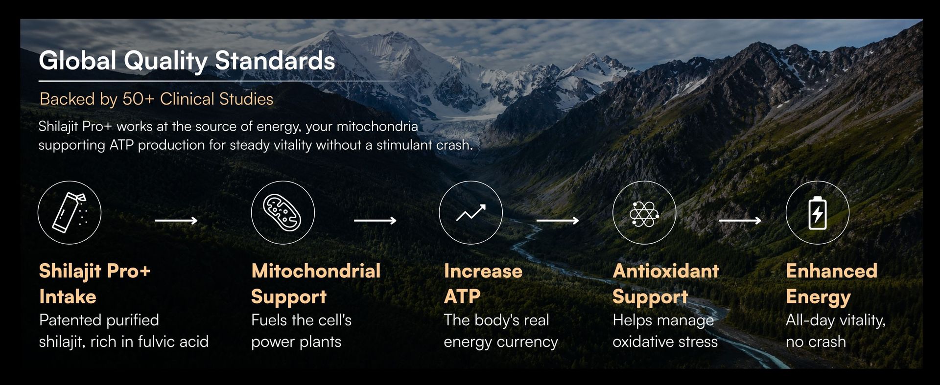 Shilajit Pro+™ in you | Patented Himalayan Shilajit PrimaVie® & Clinically Proven KSM-66® Ashwagandha Nutrition | Pro Energy, Pro Strength, Pro Focus & Pro Vitality | Full Clinical Dose | Cola Flavour