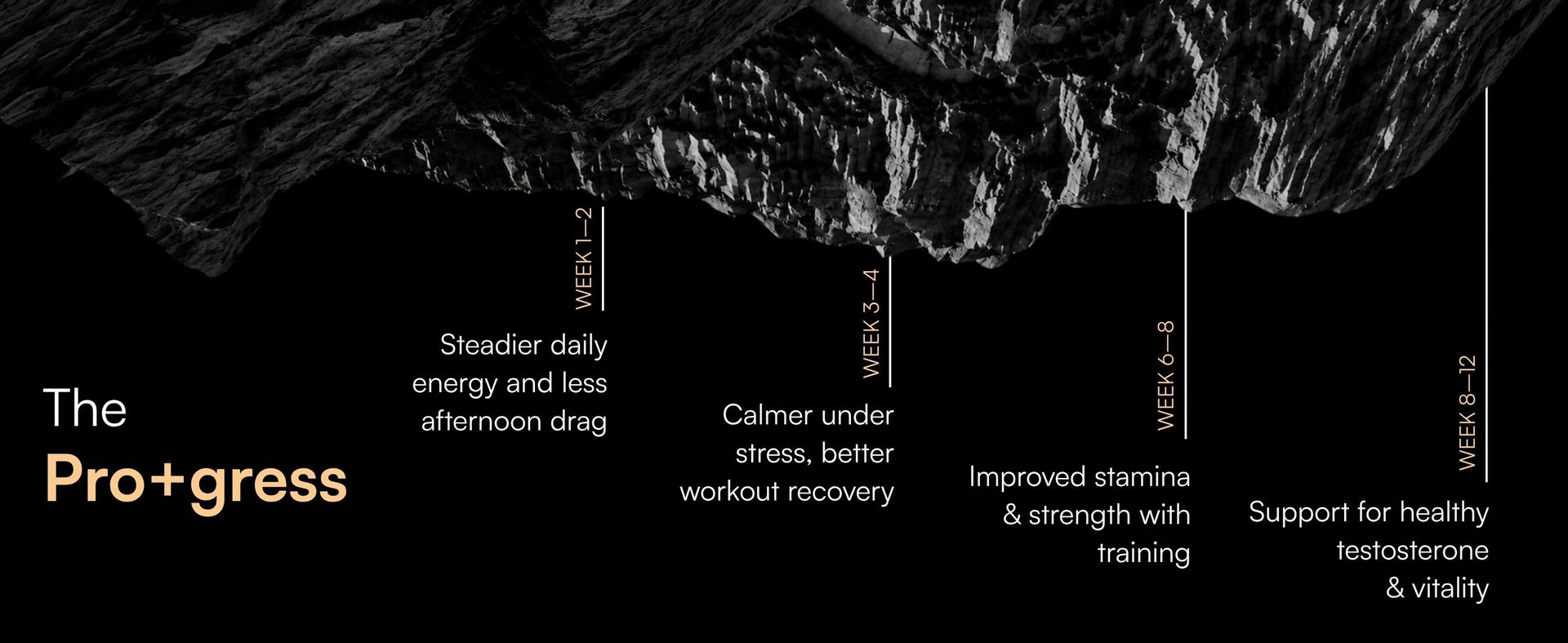 Shilajit Pro+™ in you | Patented Himalayan Shilajit PrimaVie® & Clinically Proven KSM-66® Ashwagandha Nutrition | Pro Energy, Pro Strength, Pro Focus & Pro Vitality | Full Clinical Dose | Cola Flavour