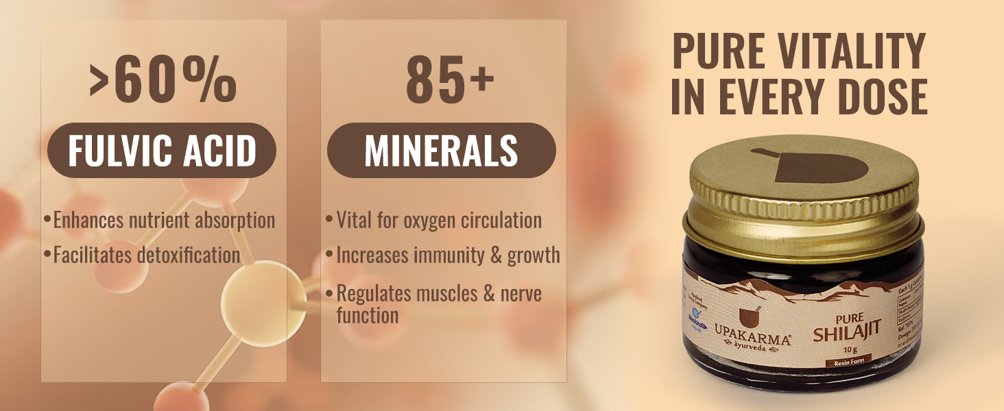 UPAKARMA Pure Shilajit Resin 10g | 300mg/serving | Extensive Global Sourcing | Boosts Stamina & Strength | Lab-Tested Purity | 33 Servings | Pack of 1