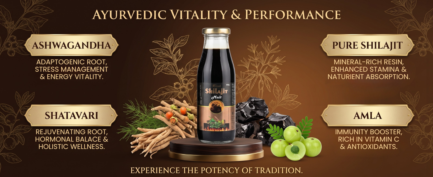 Knoll Shilajit Malt 400g | Ayurvedic Herbal Malt | With Shilajit, Ashwagandha, Shatavari & Amla | Premium Glass Bottle | Daily Wellness Supplement Smooth & Easy-to-Consume Malt