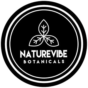 Cinnamon Capsules 180 Veg Capsules by Naturevibe Botanicals Ceylon Cinnamon Bark Powder Supplement | Plant-Based Source of Natural Antioxidants | Daily Herbal Wellness Support