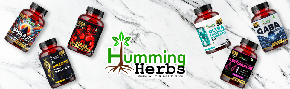 Humming Herbs Cordyceps sinensis Keeda Jadi supplement 8100mg with Reishi, Chaga, Enoki, Oyster & Maitake Mushroom Supports Lungs detox and Immune Support 7in1 Formula - 90 Cap