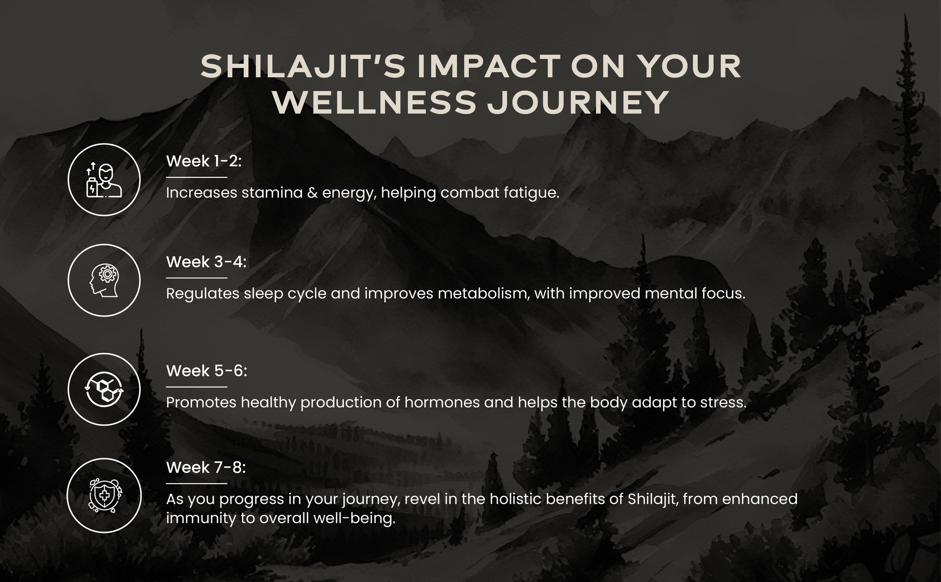 Wellbeing Nutrition Himalayan Shilajit Original Resin 20g for Men & Women with 75% Fulvic Acid & 85 Trace Minerals | 100% Ayurvedic | For Energy, Stamina, Muscle Growth Strength & Performance
