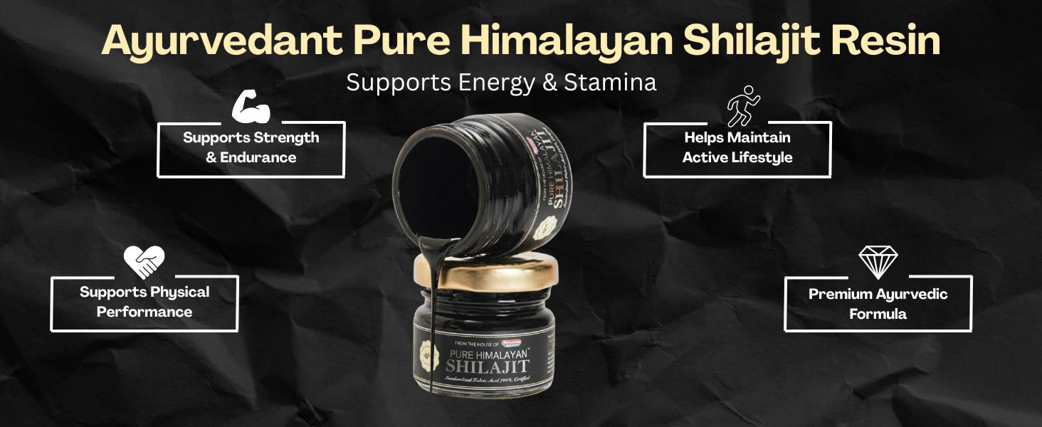 Baidyanath Ayurvedant Pure Himalayan Shilajit Resin, 20 g | Standardized Fulvic Acid NLT 72% | Premium Quality Ayurvedic Shilajit