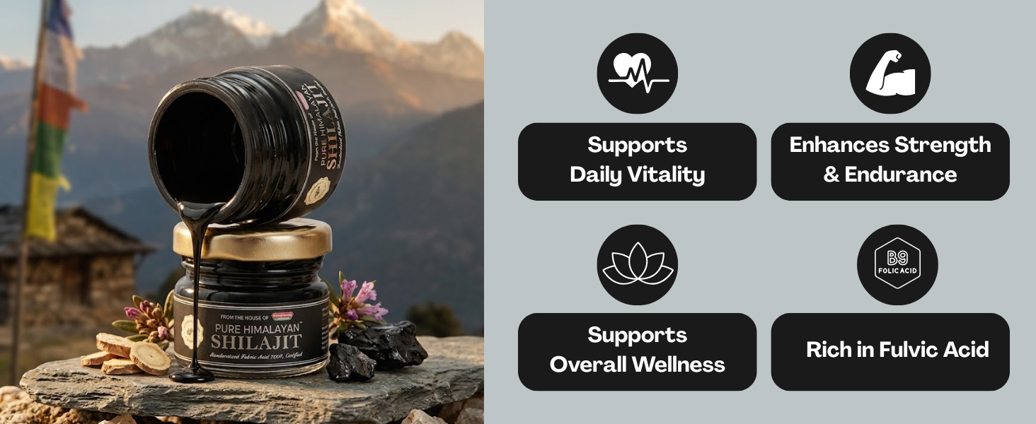 Baidyanath Ayurvedant Pure Himalayan Shilajit Resin, 20 g | Standardized Fulvic Acid NLT 72% | Premium Quality Ayurvedic Shilajit