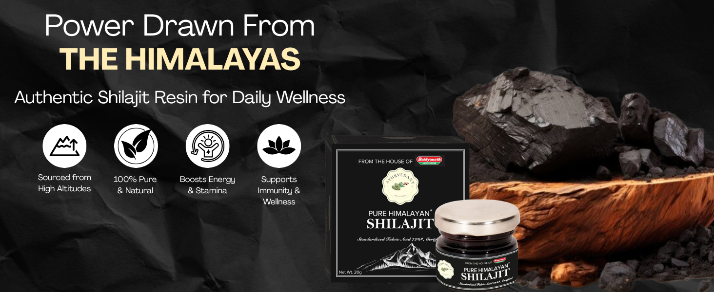 Baidyanath Ayurvedant Pure Himalayan Shilajit Resin, 20 g | Standardized Fulvic Acid NLT 72% | Premium Quality Ayurvedic Shilajit