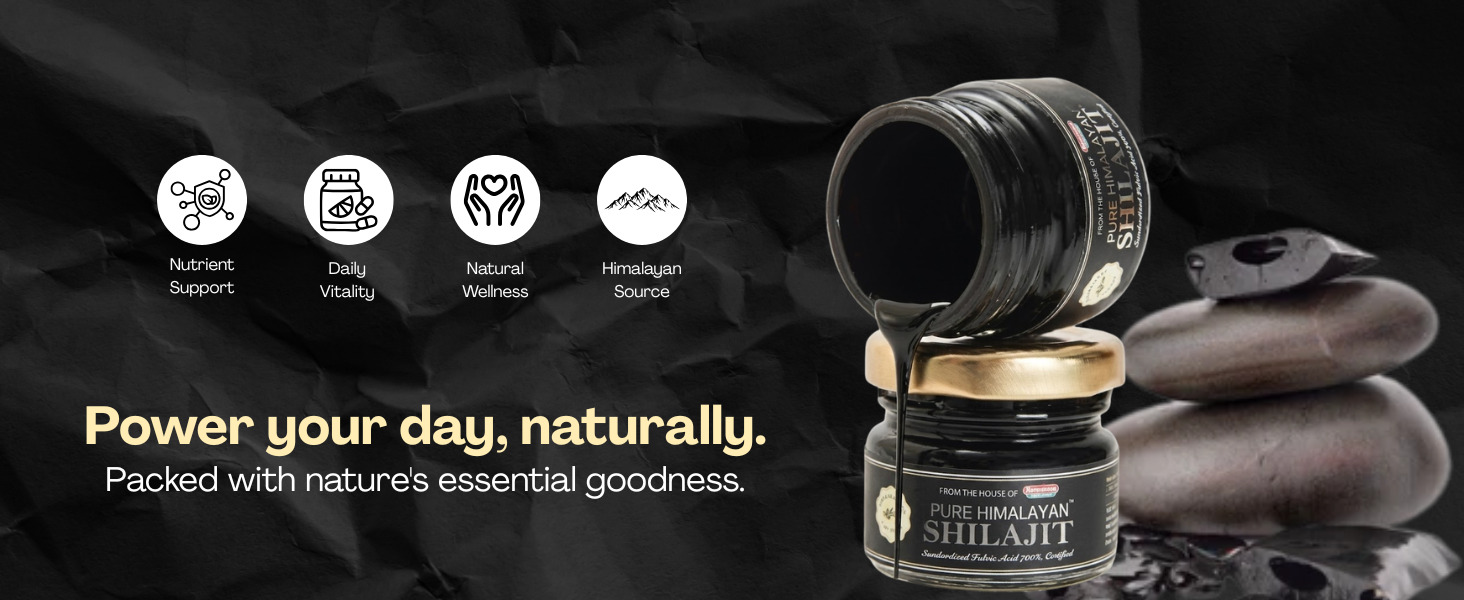 Baidyanath Ayurvedant Pure Himalayan Shilajit Resin, 20 g | Standardized Fulvic Acid NLT 72% | Premium Quality Ayurvedic Shilajit