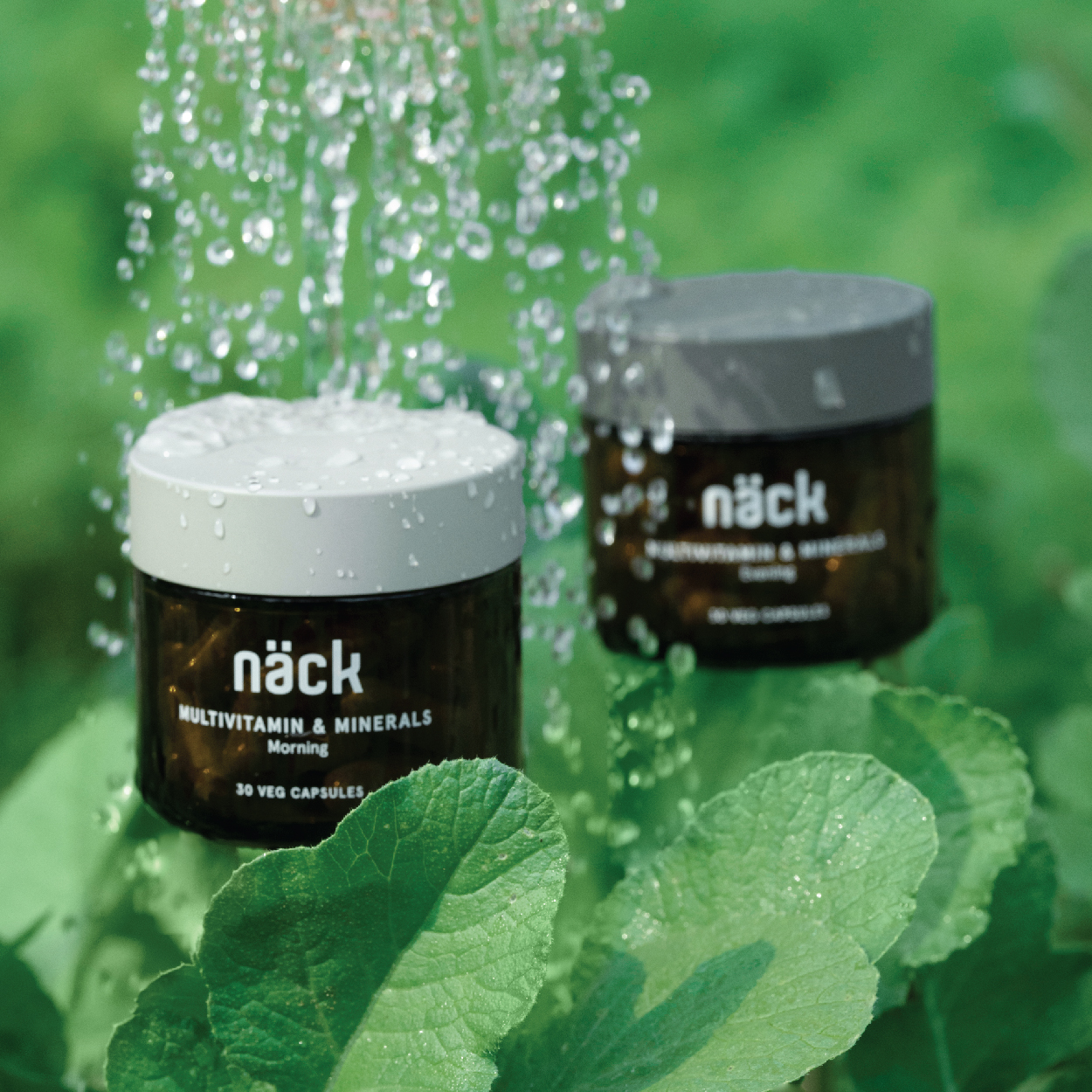 Näck Multivitamin & Mineral Dual Formula | Morning & Evening Formula | Superior Absorbency | 100% RDA for 21 Essential Vitamins and Minerals | 60 Veg Capsule