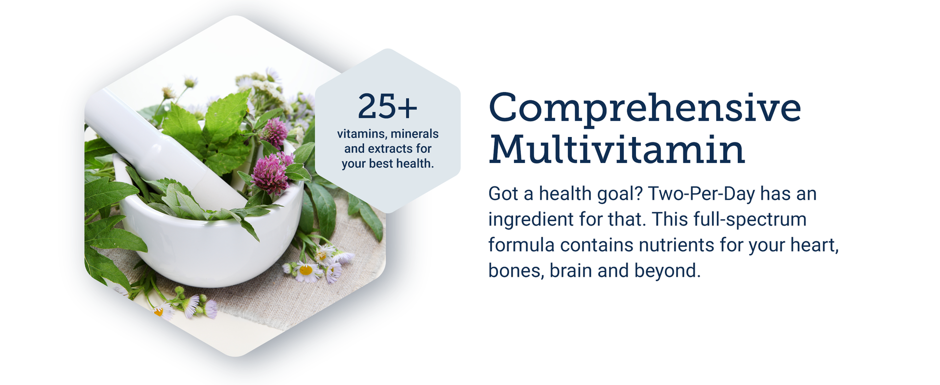 Life Extension Two-Per-Day Multivitamin - Packed with Over 25 Vitamins, Minerals & Extracts -Vitamins B6, C, D - Zinc - Two-Month Supply - Non-GMO, Gluten-Free - 120 Tablets
