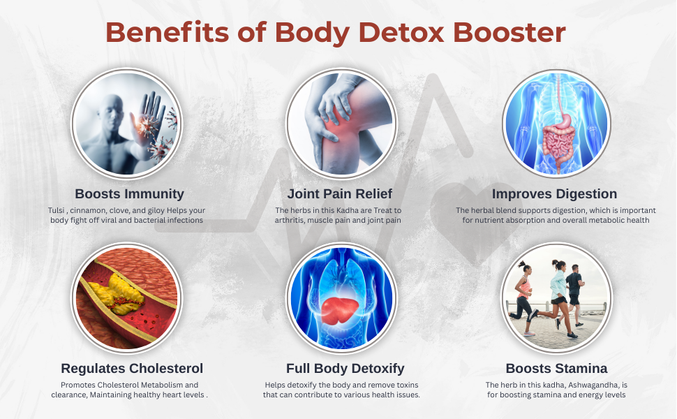 Dodkiya Agro Body Detox Drink Booster Tea (Kadha) blends 30+ herbs like Amla, Turmeric, Ashwagandha, Moringa & more for detox, immunity, and digestion. 250gm Pack-2