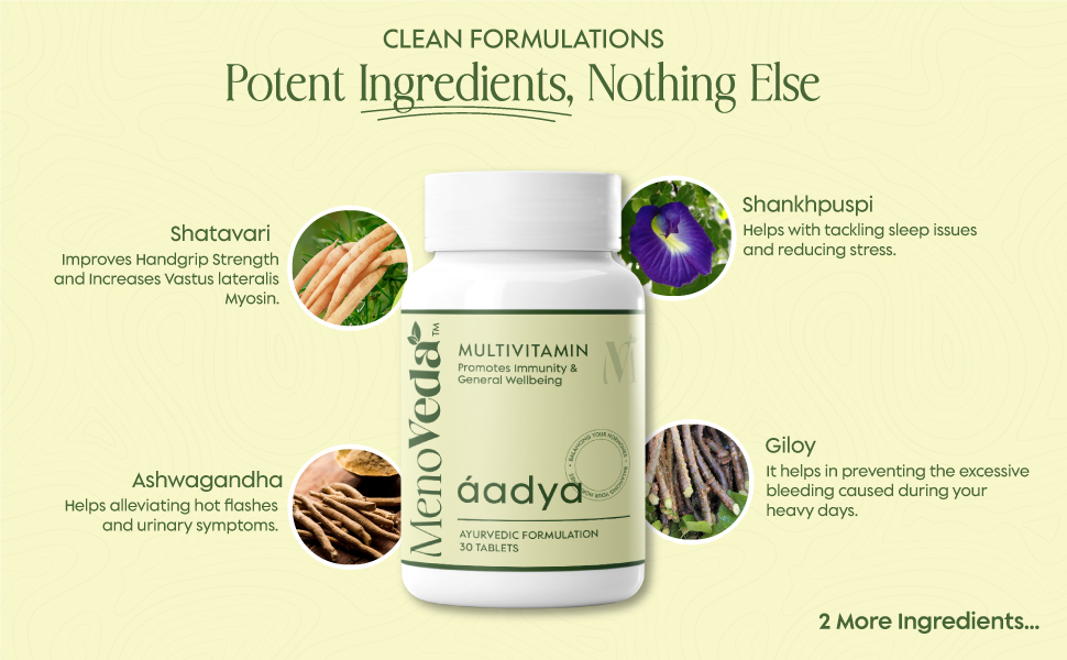 Menoveda Aadya Multivitamin for Women -30 Tablets (Pack of 2) Ayurvedic Multi Vitamin Supplement for Immunity, Energy & Hormone Balance | Daily Women’s Vitamins for General Wellbeing | Herbal Nutritional Support