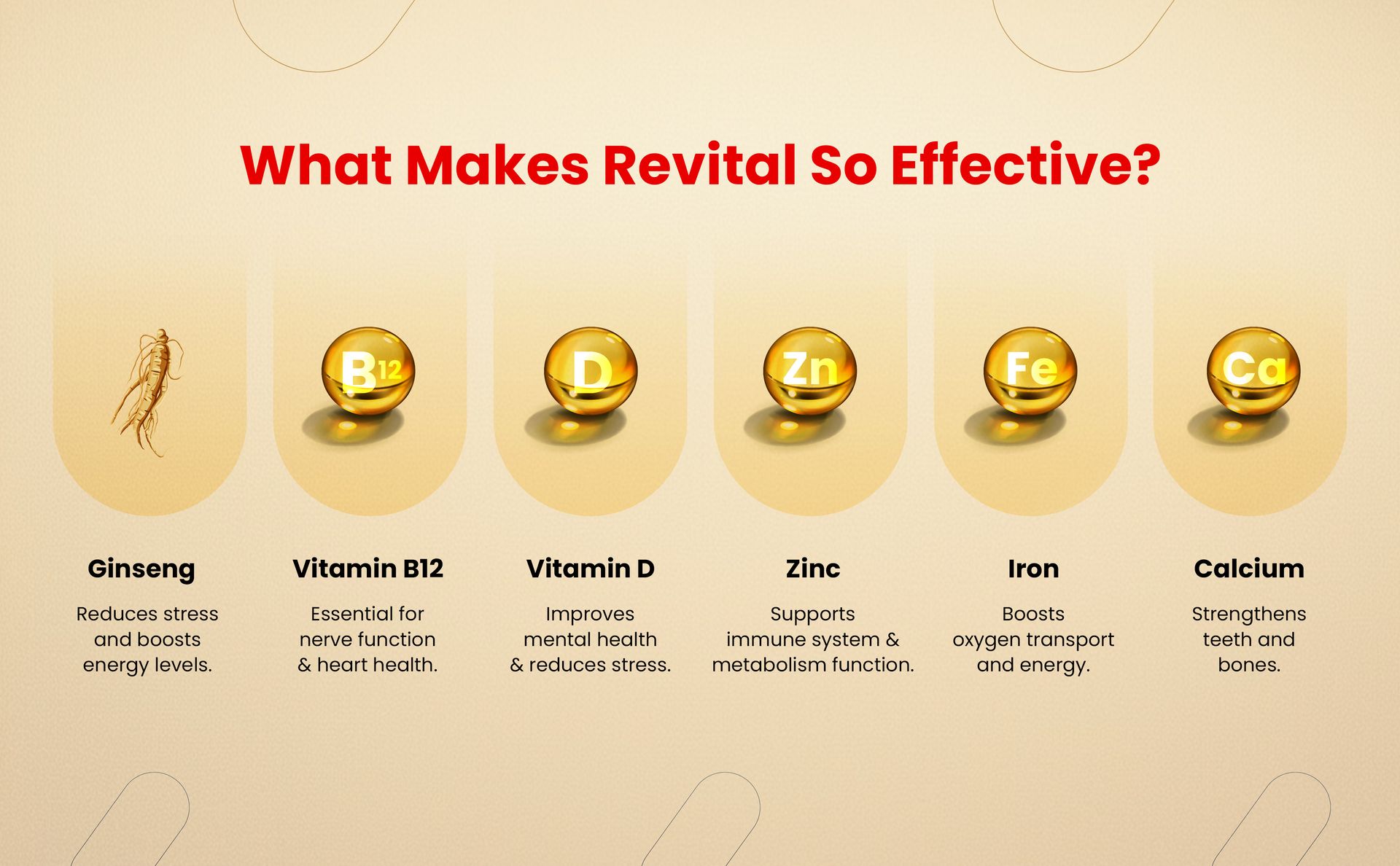 Revital H Multivitamin For Men (60 Capsules) With Natural Ginseng, Zinc, 10 Vitamins & 8 Minerals For Daily Energy, Stamina & Immunity (packaging may vary)