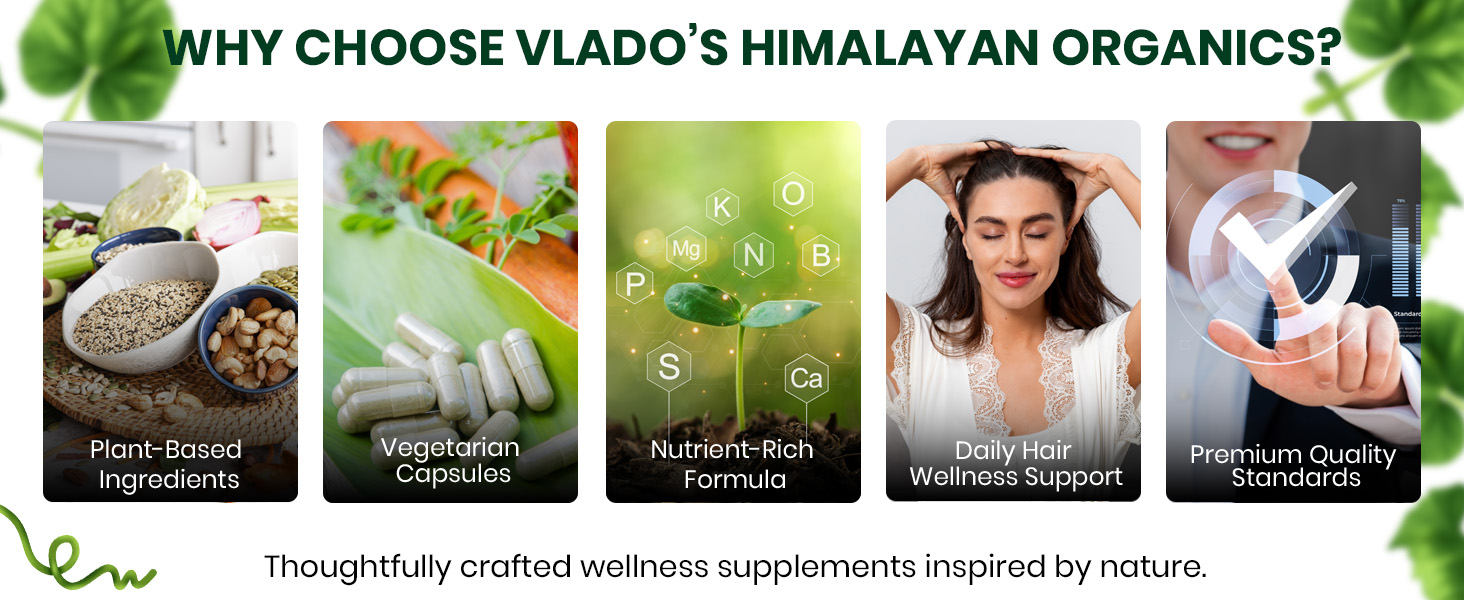 Vlado's Himalayan Organics DHT Blocker with Biotin Tablets for Hair growth | Biotin Supplement with all B vitamin | DHT Blocker supports Hair Growth & Skin Health for Men & Women | 60 Veg capsules