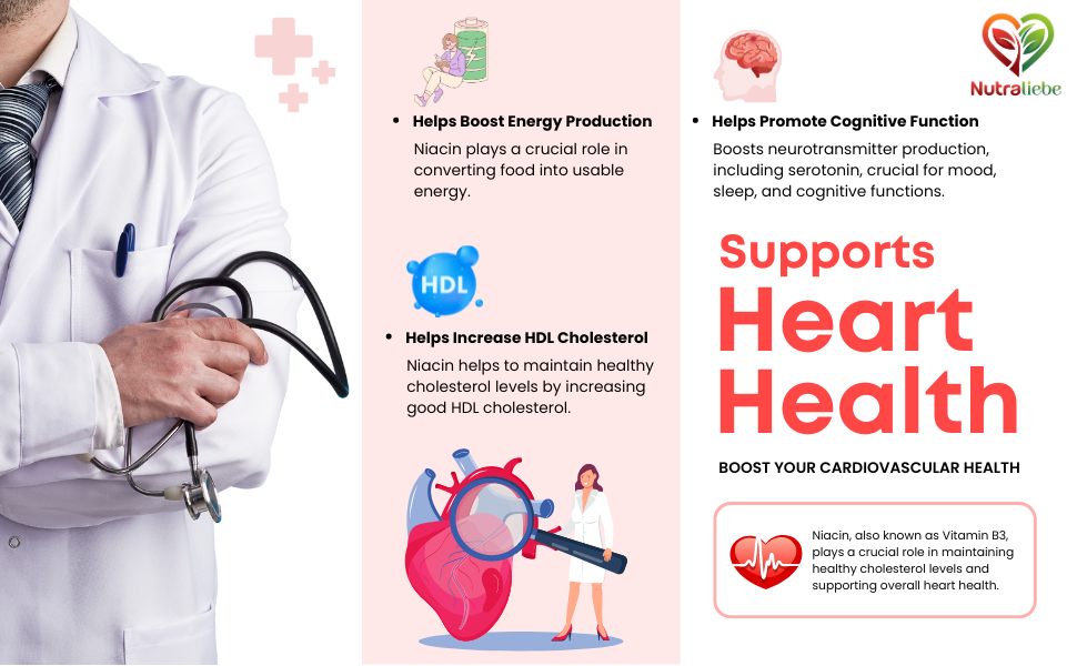 Niacin Nicotinic Acid - Moderate Dose, Low Flush Formula, 90 Capsules for Cardiovascular and Energy Support