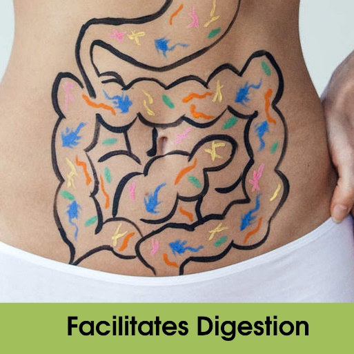 Urban Platter Wheatgrass Powder, 200g [Immunity boosting | Superfood | Supports healthy metabolism | Detoxifying]