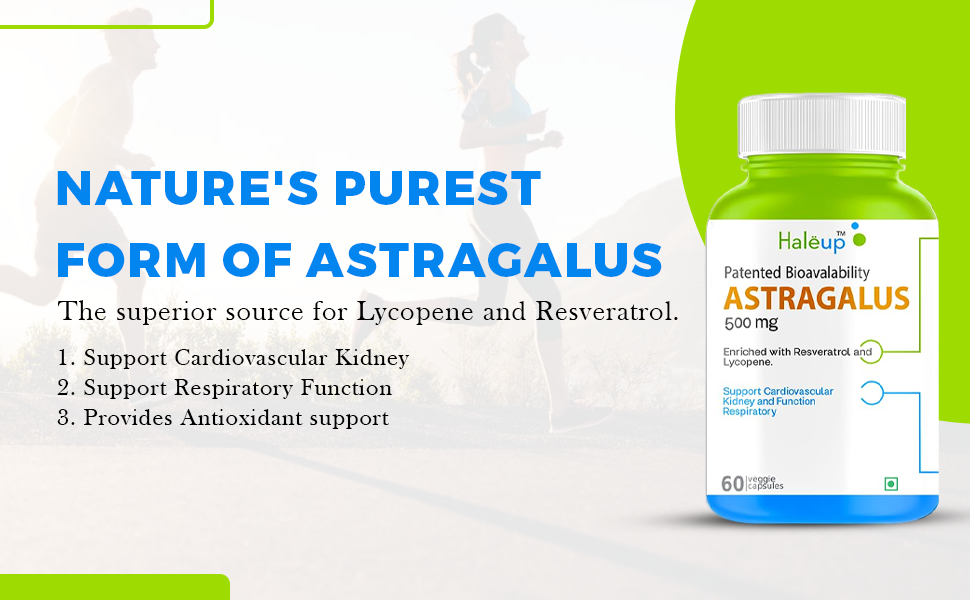Haleup Astragalus 500 mg || 60 capsules || Enriched with Resveratrol & Lycopene || Heart & Immune Support || Researched in USA (Pack of 1, 60)