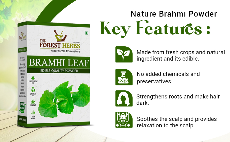 The Forest Herbs Natural Care from Nature Brahmi Leaf Powder, for Manage Stress & Boost Brain Health & Preservative Free, 200 g