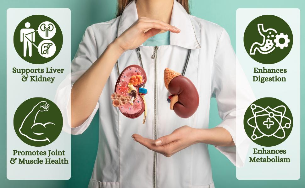 Herbal Hills Punarnava Powder, (100 gm Pack) | Supports Kidney Health & Water Balance | Punarnava Churna For Urinary Wellness & Swelling Relief | With Boerhavia Diffusa Root Pack of 2