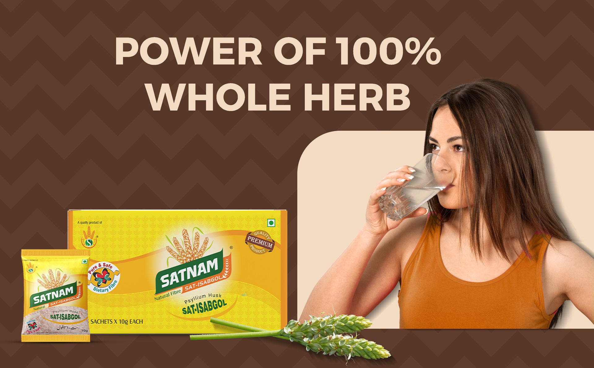 SATNAM Sat-Isabgol Psyllium Husk | Travel Friendly Pack | 250 Gram - 25 Sachets