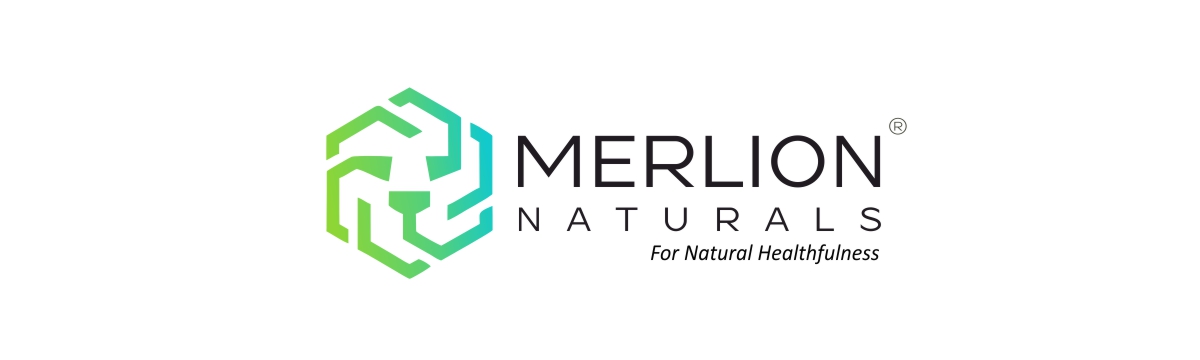 Merlion Naturals Haritaki Tablets, Terminalia chebula, 500mg (120 Tablets)