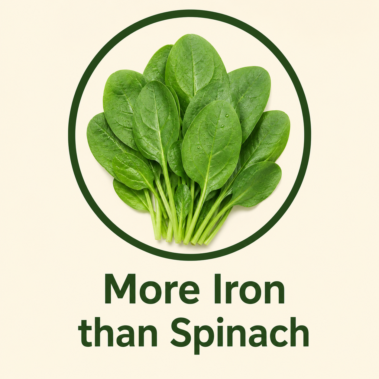 Moringa Leaf Powder 200g | Shade-Dried, Leaf-Only, Dust-Free | Boosts Immunity, Energy & Digestion | Drumstick Powder | Sourced from USDA Certified Organic Farms | FSSAI Certified