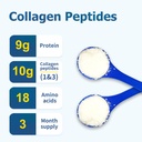 zammex-collagen-peptides-powder-90-servi-4.jpg