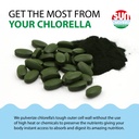 sun-chlorella-a-tablets-500-mg-600-table-5.jpg