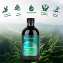 biogenesis-ultimate-australian-detox-bun-4.jpg