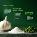 bell-healthy-blood-pressure-support-uniq-4.jpg